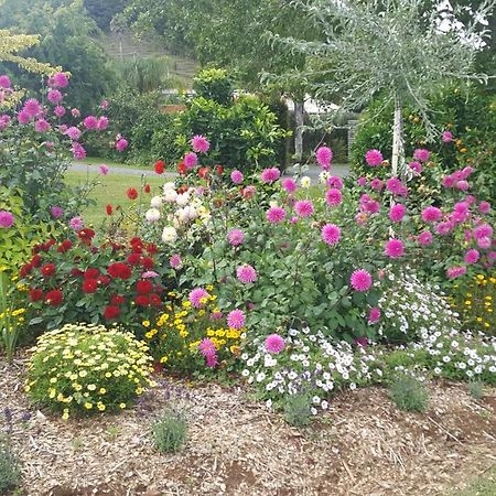 Glenbervie Cottages Whangarei Eksteriør bilde